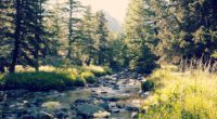parc-mercantour