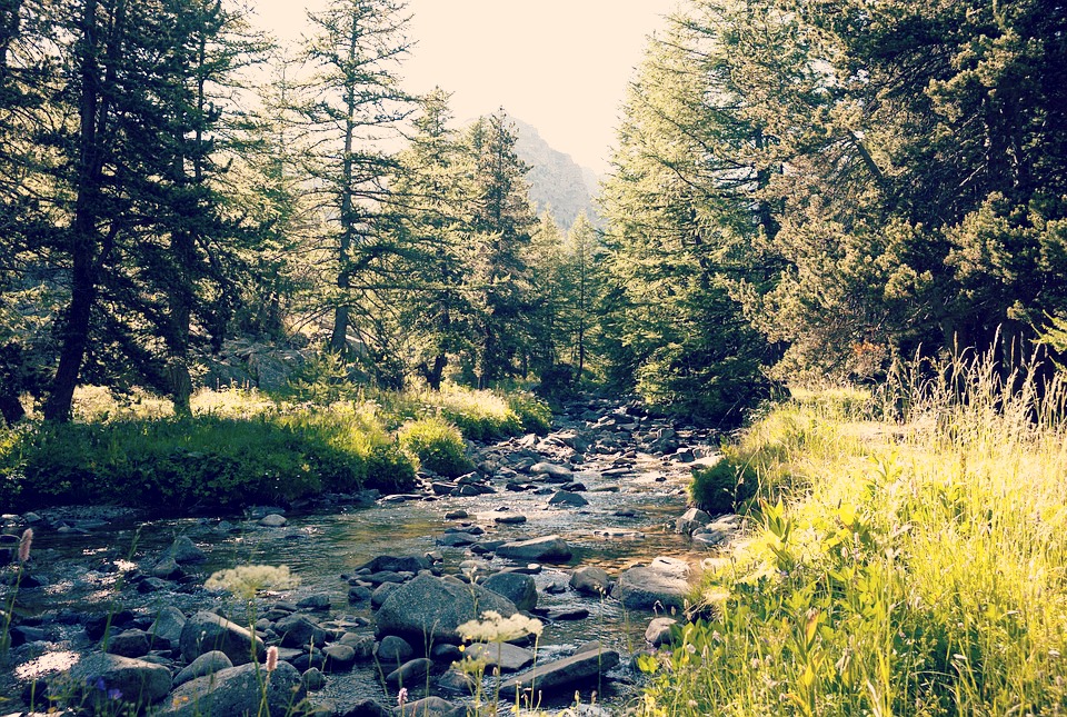 Cet été, partez à la découverte du Parc Mercantour