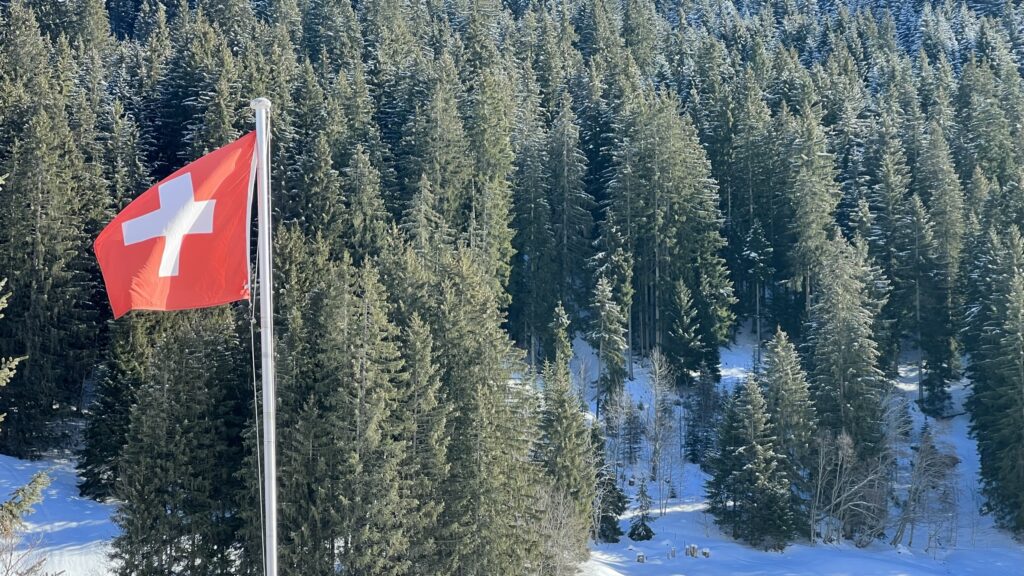 Drapeau suisse avec la forêt en arrière-plan 