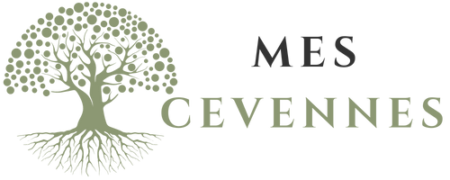 mescevennes.com