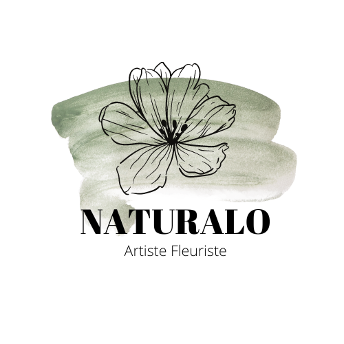 logo naturalo