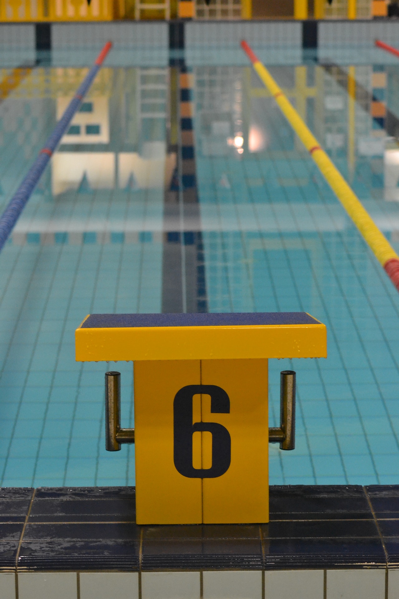 plot de départ piscine olympique