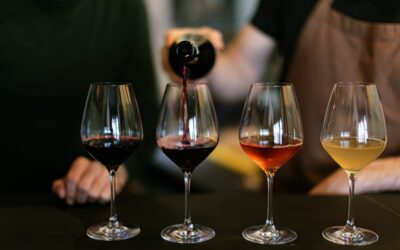 Un Voyage à Travers le Monde du Vin: Comment Choisir et Apprécier le Nectar des Dieux