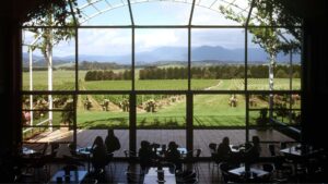 domaine viticole
