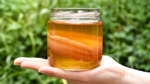 kombucha